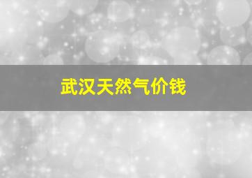 武汉天然气价钱