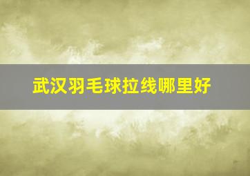 武汉羽毛球拉线哪里好