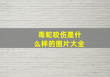 毒蛇咬伤是什么样的图片大全