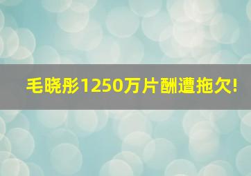 毛晓彤1250万片酬遭拖欠!