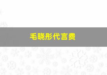 毛晓彤代言费