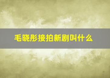 毛晓彤接拍新剧叫什么