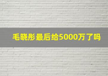 毛晓彤最后给5000万了吗