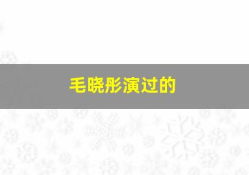 毛晓彤演过的