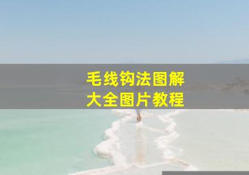 毛线钩法图解大全图片教程