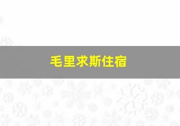 毛里求斯住宿