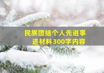 民族团结个人先进事迹材料300字内容