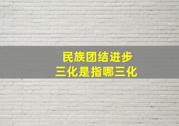 民族团结进步三化是指哪三化