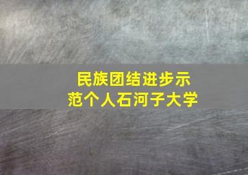 民族团结进步示范个人石河子大学