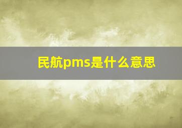 民航pms是什么意思