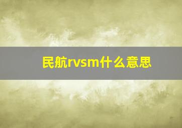 民航rvsm什么意思