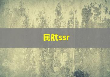 民航ssr