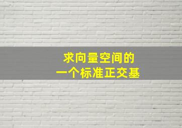 求向量空间的一个标准正交基