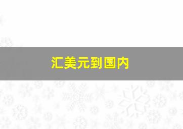 汇美元到国内