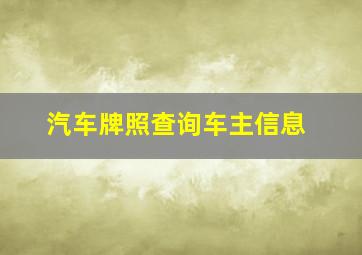 汽车牌照查询车主信息