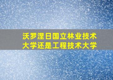 沃罗涅日国立林业技术大学还是工程技术大学