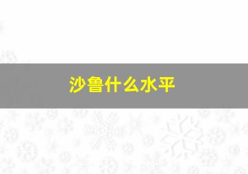 沙鲁什么水平