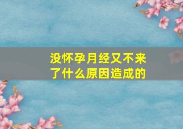 没怀孕月经又不来了什么原因造成的