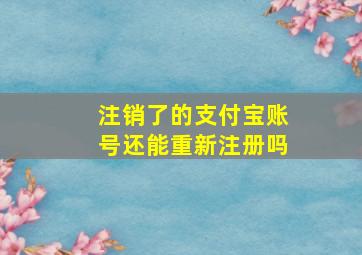 注销了的支付宝账号还能重新注册吗