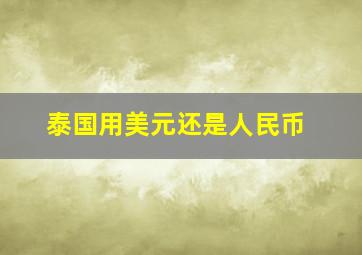 泰国用美元还是人民币