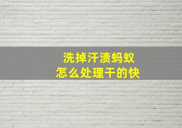 洗掉汗渍蚂蚁怎么处理干的快