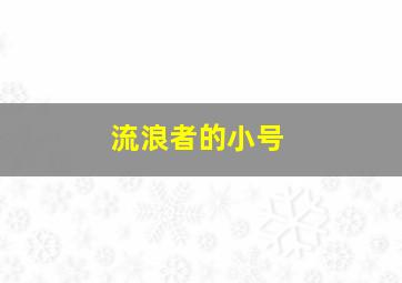 流浪者的小号