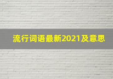 流行词语最新2021及意思