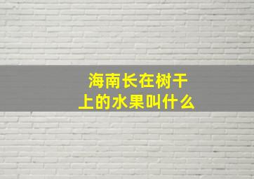 海南长在树干上的水果叫什么