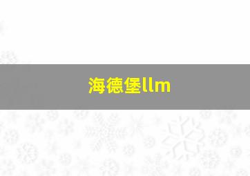 海德堡llm