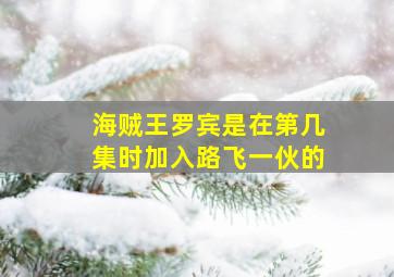 海贼王罗宾是在第几集时加入路飞一伙的