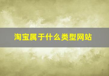 淘宝属于什么类型网站