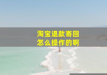 淘宝退款寄回怎么操作的啊