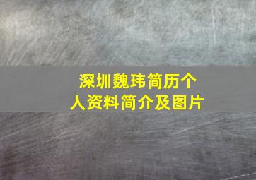 深圳魏玮简历个人资料简介及图片