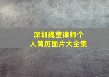 深圳魏莹律师个人简历图片大全集