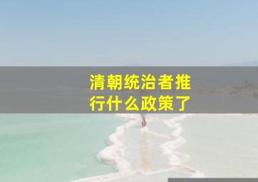 清朝统治者推行什么政策了