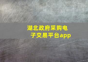 湖北政府采购电子交易平台app