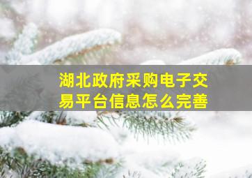 湖北政府采购电子交易平台信息怎么完善