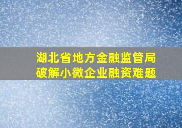 湖北省地方金融监管局破解小微企业融资难题