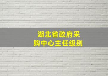 湖北省政府采购中心主任级别