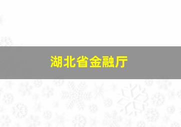 湖北省金融厅