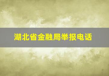 湖北省金融局举报电话