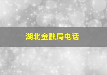 湖北金融局电话