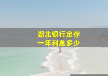 湖北银行定存一年利息多少