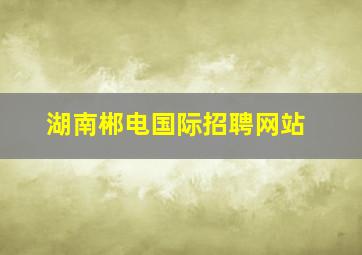 湖南郴电国际招聘网站