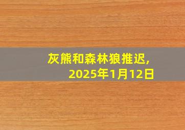 灰熊和森林狼推迟,2025年1月12日