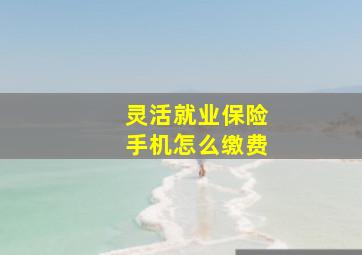 灵活就业保险手机怎么缴费