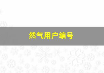 然气用户编号