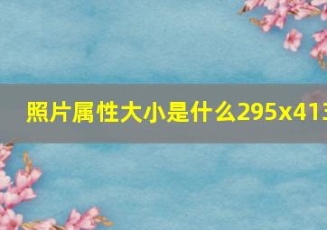 照片属性大小是什么295x413