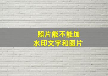 照片能不能加水印文字和图片