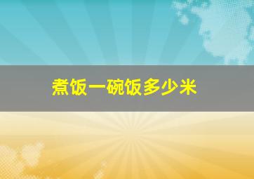 煮饭一碗饭多少米